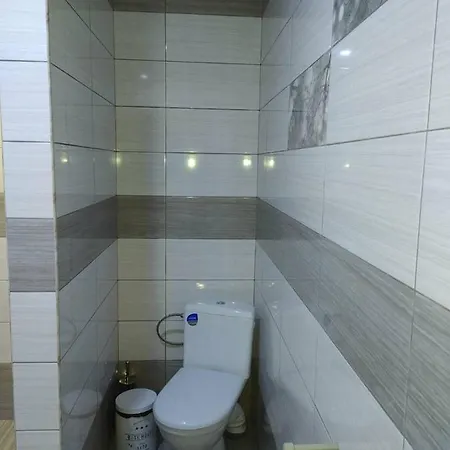 карпатські зорі *