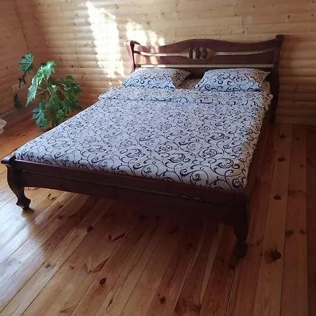 карпатські зорі Pilipets